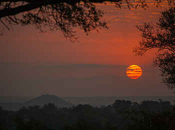 Londolozi Private Granite Suites: Abenddämmerung in Londolozi