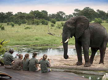 Somalisa Acacia Camp: Unterricht über Elefanten