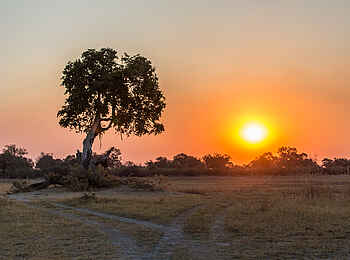 Splash Camp: Sonnenuntergang