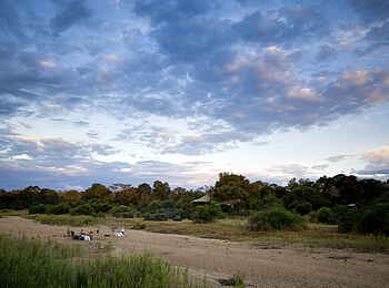 &Beyond Ngala Safari Lodge: Grüne Umgebung
