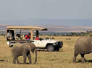Mahali Mzuri: Pirschfahrt mit Elefanten