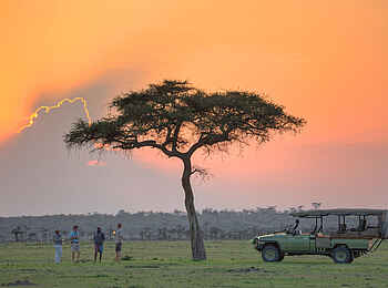 Naboisho Camp: Evening Game Drive