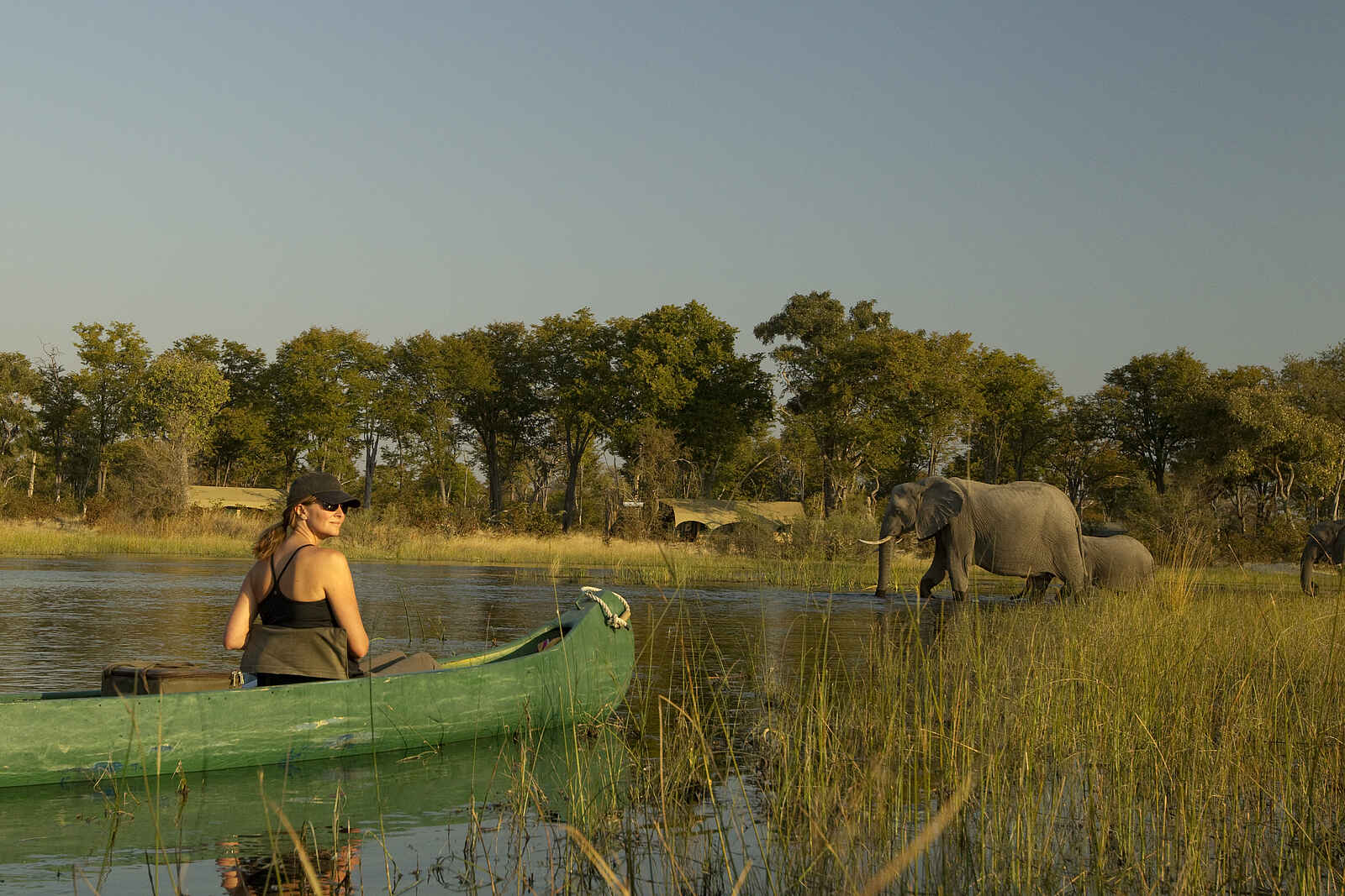 Selinda Explorers Camp: Tierbeobachtung vom Kanus aus Selinda Explorers Camp: Tierbeobachtung vom Kanus aus