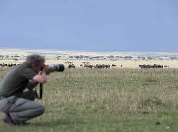 Serian Serengeti South: Tierherde und ihr Beobachter Serian Serengeti South: Tierherde und ihr Beobachter