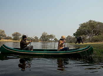 Selinda Explorers Camp: Elefantenbegegnung Selinda Explorers Camp: Elefantenbegegnung