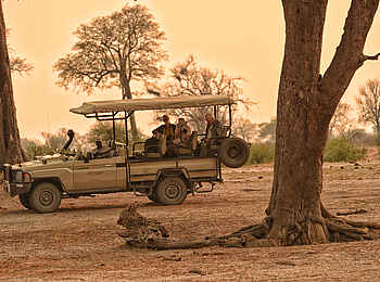 Somalisa Acacia Camp: Safari