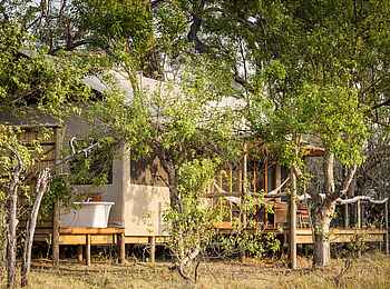 Amber River Camp: Gästezelt im Grünen Amber River Camp: Gästezelt im Grünen