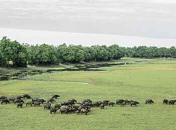 Big Lagoon Camp: Morgenstimmung Big Lagoon Camp: Morgenstimmung