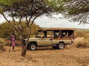 Elephant Gorge Camp: Pirschfahrt