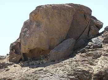 Fort Sesfontein: Eine Gruppe von Löwen ruht sich im Schatten des Felsens aus