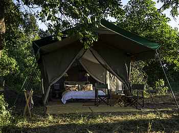 John's Camp: Zelt im Schatten