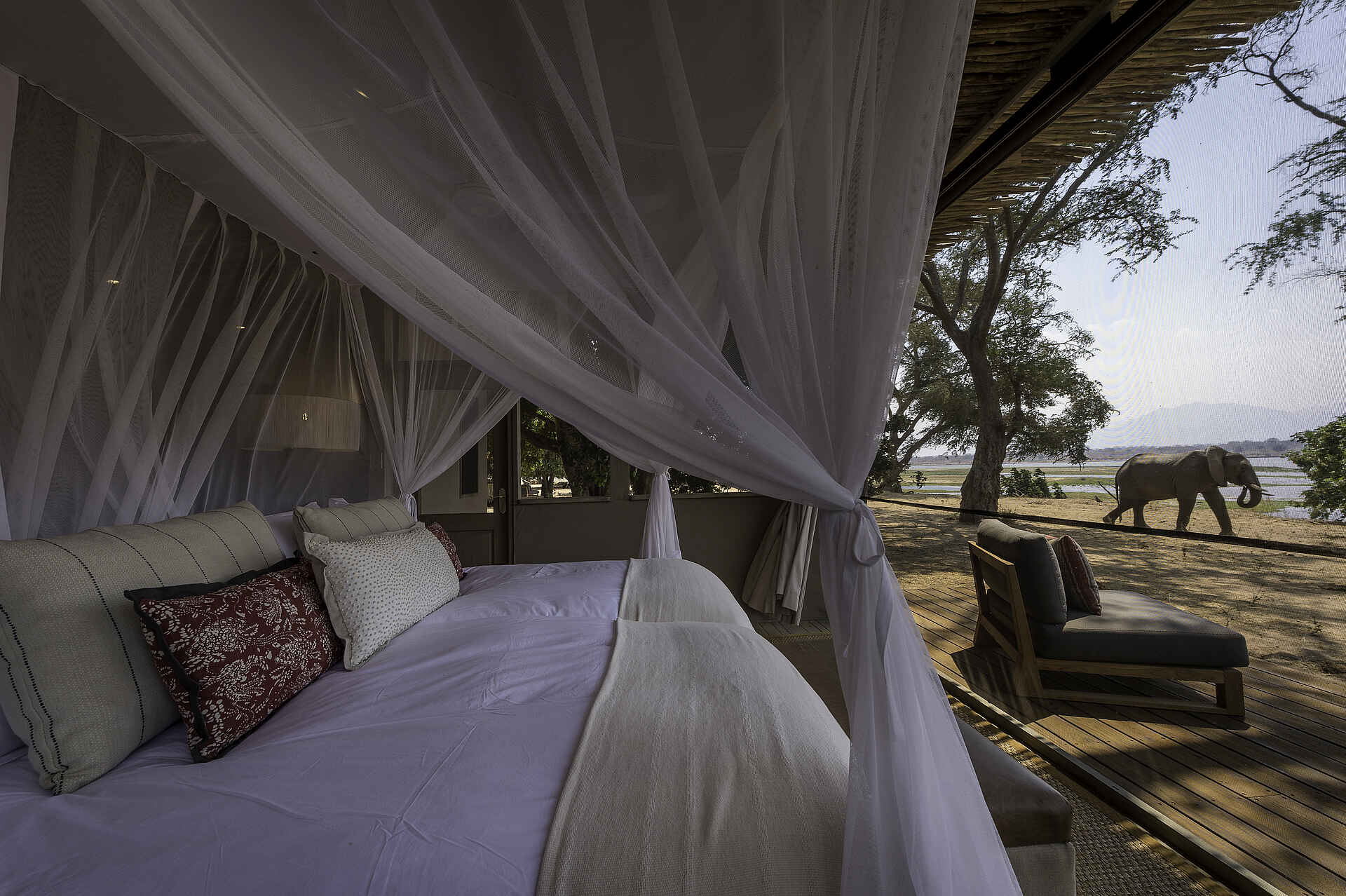 Little Ruckomechi Camp: Blick aus einem Gästezelt Little Ruckomechi Camp, Mana Pools National Park, Sambesi, Wilderness Safaris, Doppelbett, Elefanten, Moskitonetz, Afrikarma, Afrikarma Safaris, Afrikarma Safaris - Wildnis. Hautnah., Afrikarma.de