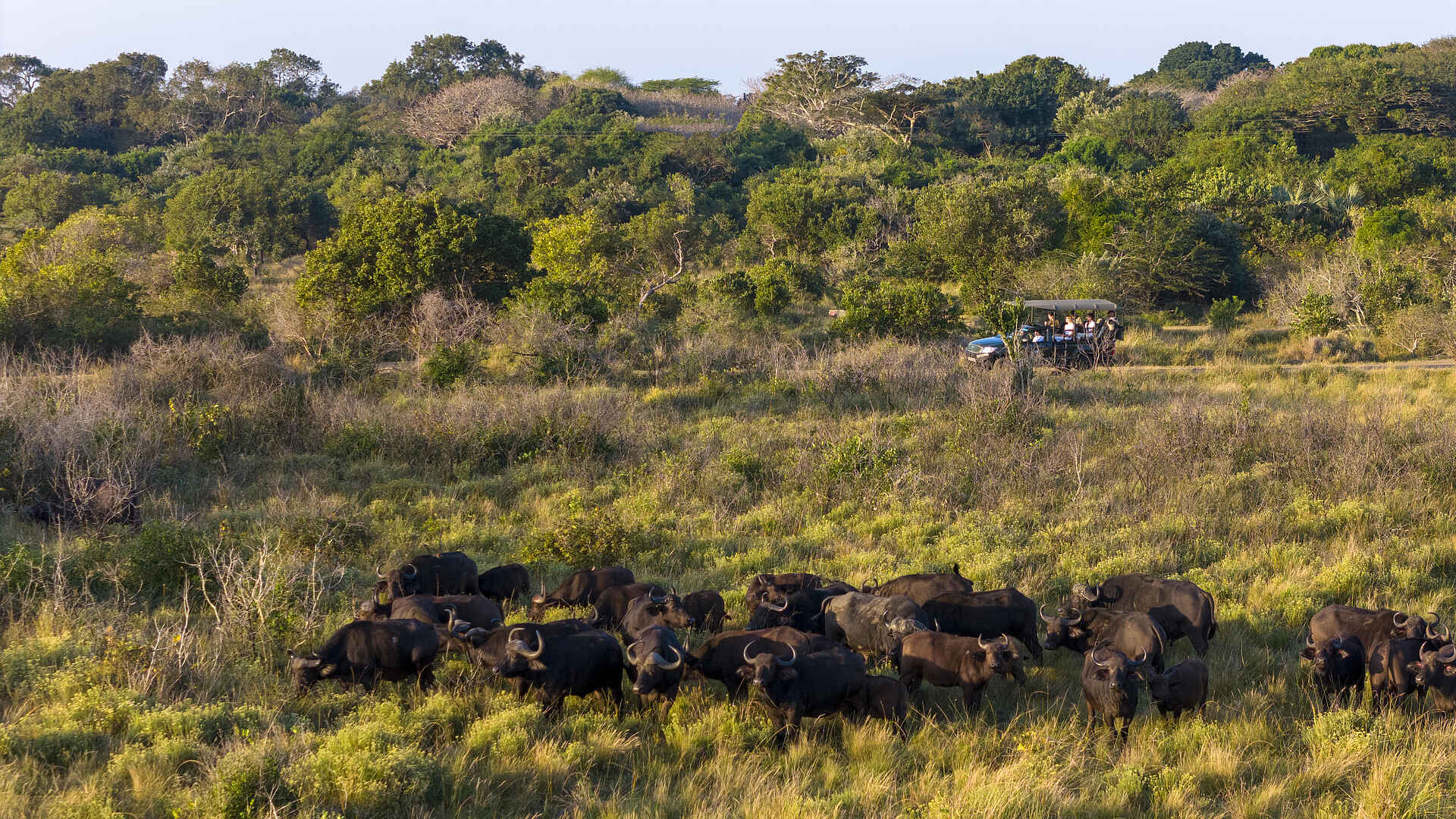 Makakatana Bay Lodge: Auf Pirschfahrt
