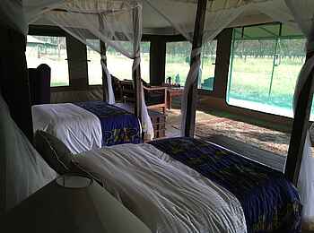 Naona Moru Camp: Betten im Twinzimmer