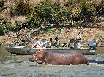 Nkwali Camp: Bootsafari mit Nilpferden