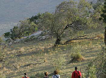 Saruni Mara Camp: Buschwanderung