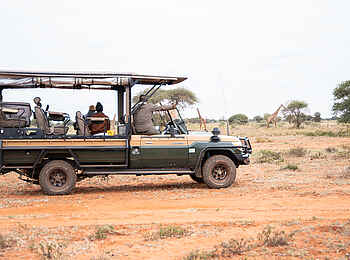 Soroi Cheetah Tented Camp: Giraffen auf Pirschfahrt beobachten