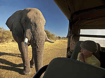 Zarafa Camp: Game Drive