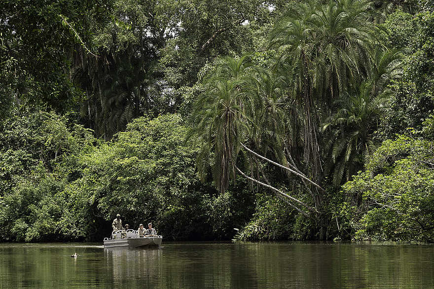 Mboko Camp: Den Lekoli mit dem Boot erkunden Mboko Camp: Den Lekoli mit dem Boot erkunden