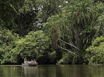 Mboko Camp: Den Lekoli mit dem Boot erkunden