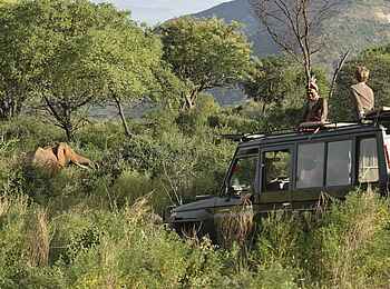 Sarara Tree: Game Drive Sarara Tree: Game Drive