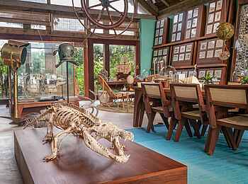 Time + Tide Miavana: Krokodilskelett