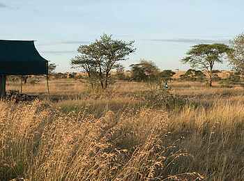 Chaka Camp: Ein Gästezelt in der Graslandschaft
