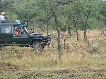 Encounter Mara Camp: Game Drive Encounter Mara Camp: Game Drive