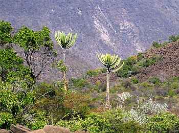 Epupa Falls Lodge: Das Kaokoland bietet eine abwechslungsreiche Landschaft