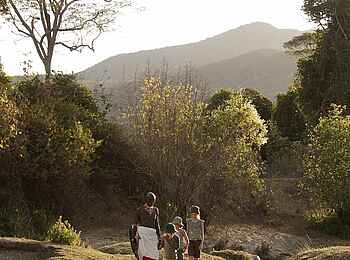 Kitich Camp: Forest Walk Kitich Camp: Forest Walk