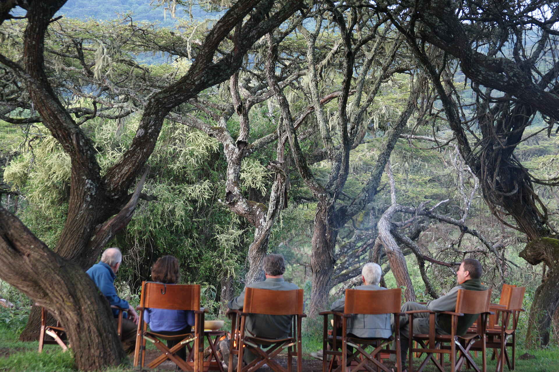 afrikarma, afrikarma Safaris, afrikarma.de, Bäume, Feuer, Lemala Ngorongoro, Lunch, Lemala Camps, Wildtierwanderung