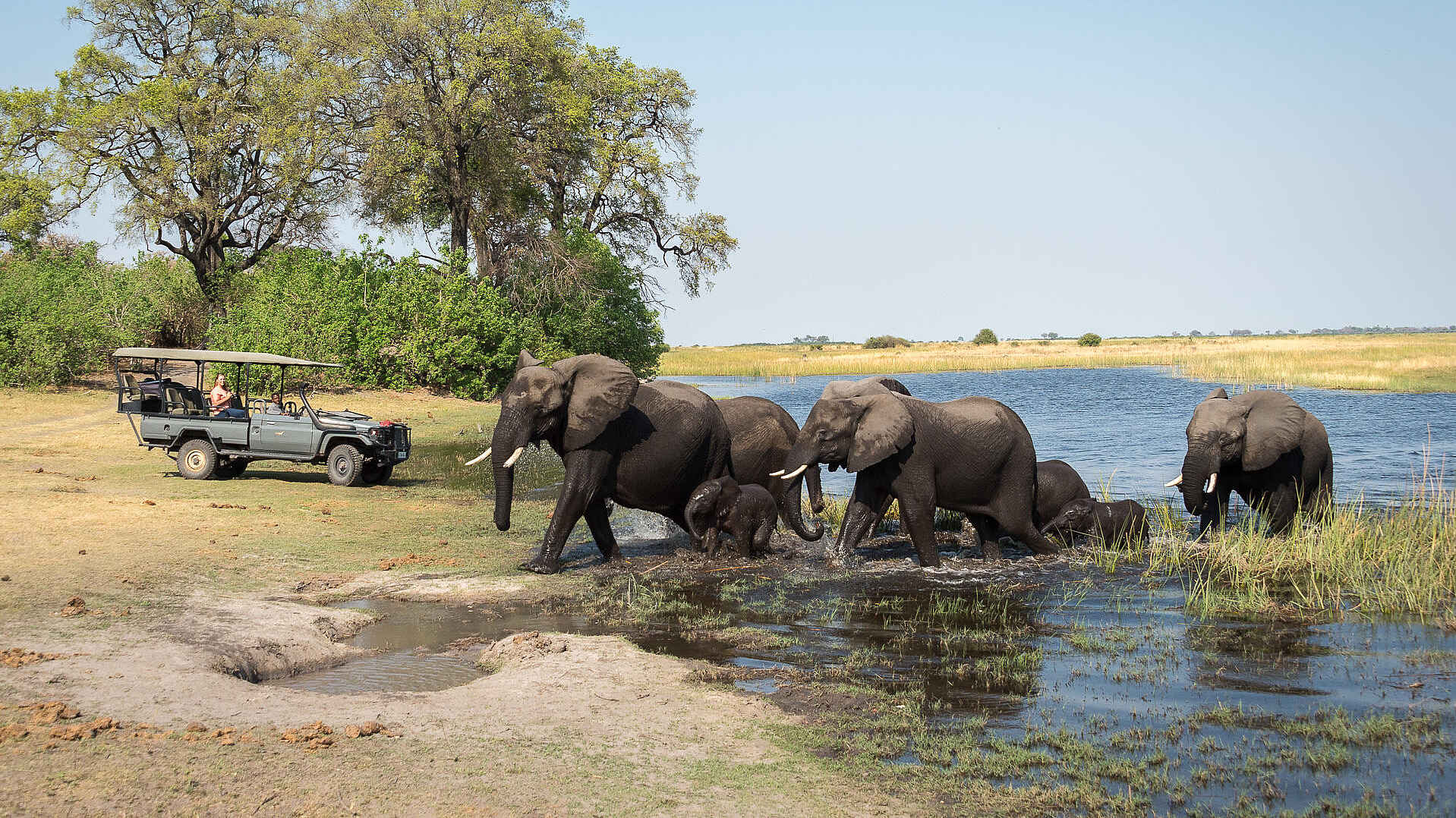 Linyanti Tented Camp: Begegnung mit Elefanten Linyanti Tented Camp: Begegnung mit Elefanten