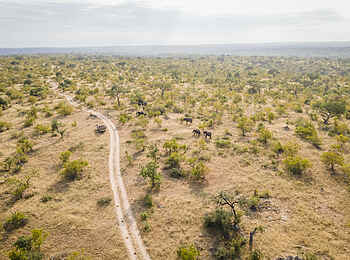Mohlabetsi Safari Lodge: Blick auf die Natur und eine Elefantenherde Mohlabetsi Safari Lodge: Blick auf die Natur und eine Elefantenherde
