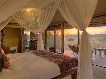 Oliver's Camp: Double Tent Blick hinaus
