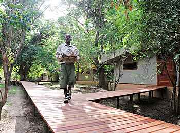 Potato Bush Camp: Stege zu den Zelten Potato Bush Camp: Stege zu den Zelten