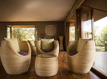 Sayari Camp: Rundsessel Sayari Camp: Rundsessel
