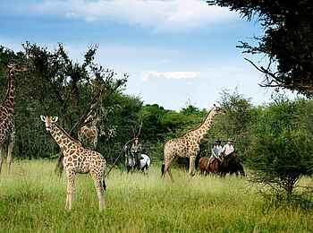 Thamo Telele Camp: Mit Pferden unterwegs Thamo Telele Camp: Mit Pferden unterwegs