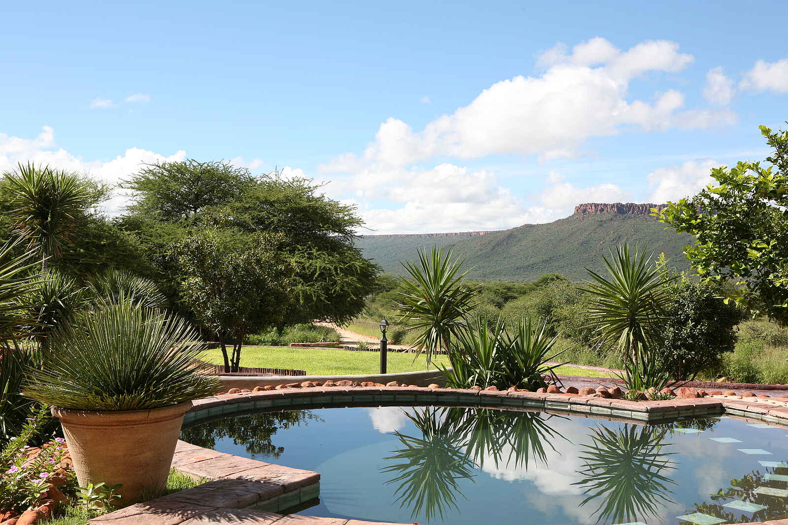 Waterberg Guest Farm: Swimmingpool im Sonnenschein Waterberg Guest Farm: Swimmingpool im Sonnenschein