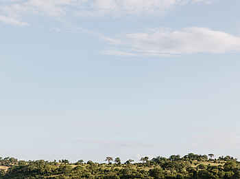 Chilo Ivory Trail Adventure: Baobabs am Horizont