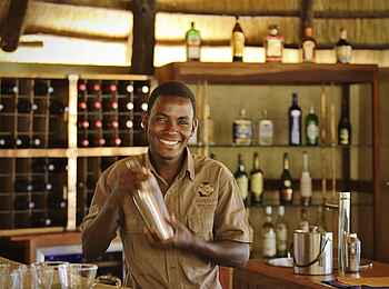 Lion Camp: Bar Keeper