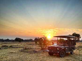 Ntemwa Busanga Bushcamp: Game Drive Geländefahrzeug vor dem Sonnenuntergang