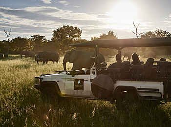 Sanctuary Chobe Chilwero: Pirschfahrt im Chobe National Park Sanctuary Chobe Chilwero: Pirschfahrt im Chobe National Park