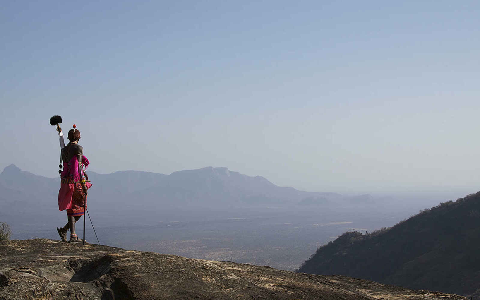 Sarara Tree: Samburu Sarara Tree: Samburu