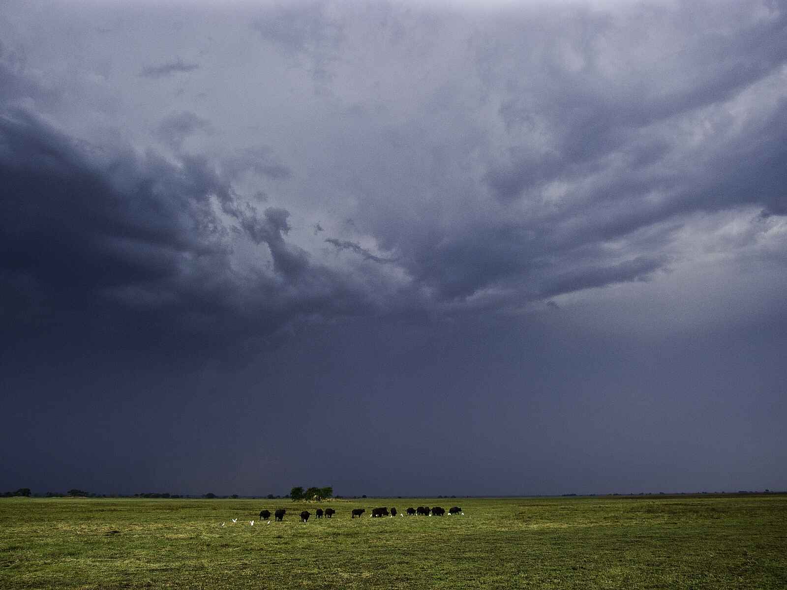 Busanga Bush Camp: Gewitter im Anzug Busanga Bush Camp: Gewitter im Anzug