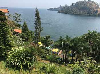Cormoran Lodge: Ausblick über den See