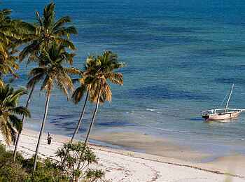 Fundu Lagoon: Strand und Palmen Fundu Lagoon: Strand und Palmen