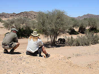 Hoanib Skeleton Coast Camp: Auf Beobachtungsposten Hoanib Skeleton Coast Camp: Auf Beobachtungsposten