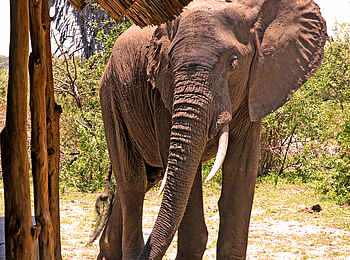 Lake Manze Camp: Besuch im Camp Lake Manze Camp: Besuch im Camp