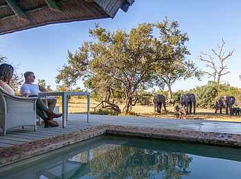 Leopard Hills: Besuch am Pool