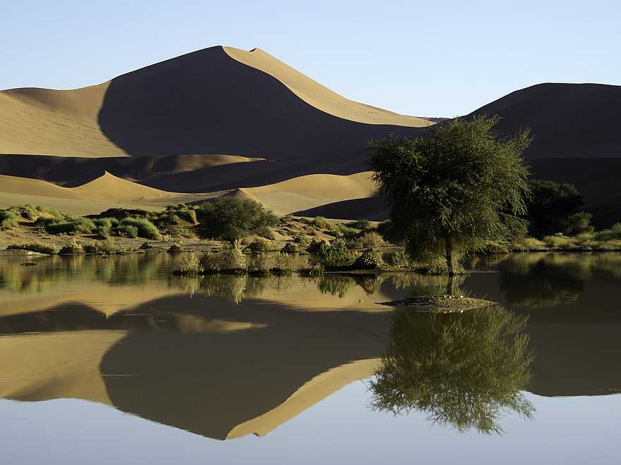 Little Kulala: Der Fluss "Tsauchab" Little Kulala: Der Fluss "Tsauchab"